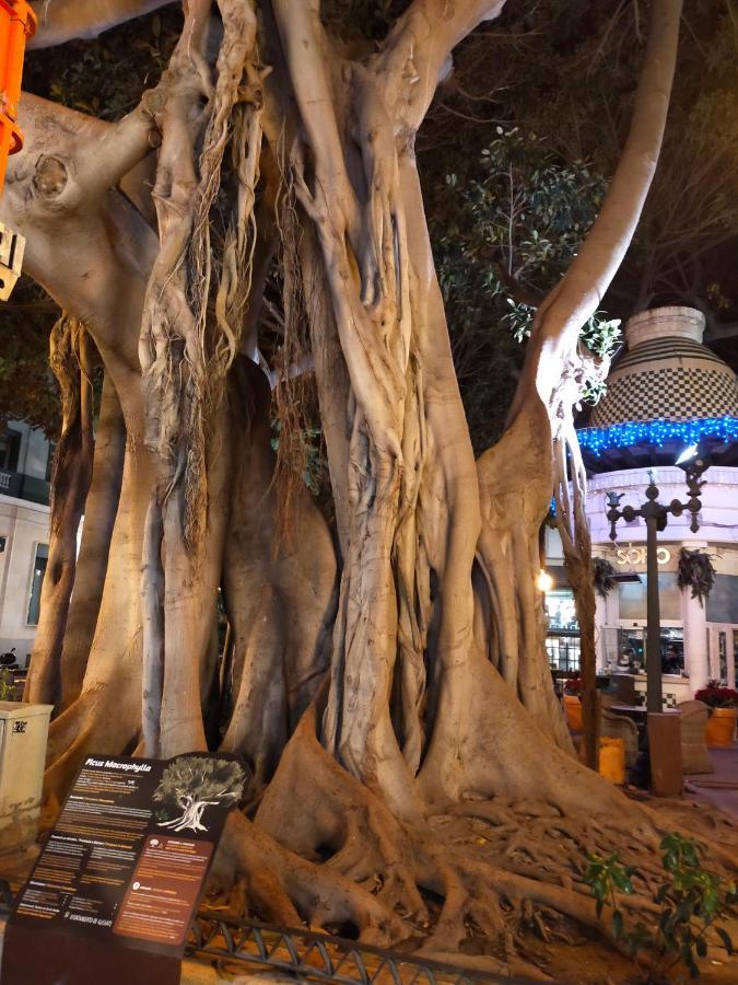 City Center Alicante - Santa Lucia - Atico Εξωτερικό φωτογραφία